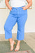 Briar High Rise Control Top Wide Leg Crop Jeans in Sky Blue