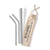 ECO GIRL Straw Stainless Steel Straw