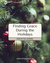 Finding Grace During the Holidays: Navigating Grief and Joy