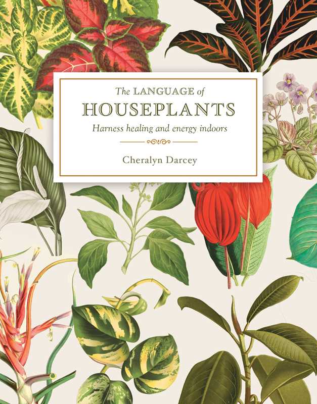 Language of Houseplants by Cheralyn Darcey