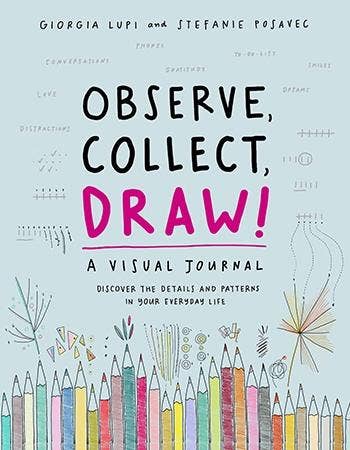 Observe  Collect  Draw!