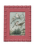 Pink Picture Frame w/ Vintage Bird Image