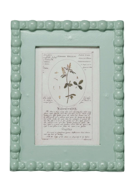 Aqua Green Picture Frame w/ Vintage Plant Image