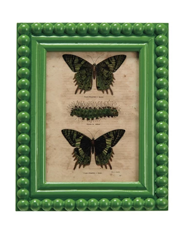 Picture Frame w/ Vintage Butterfly's (5" x 7" Photos)