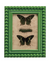 Picture Frame w/ Vintage Butterfly's (5" x 7" Photos)