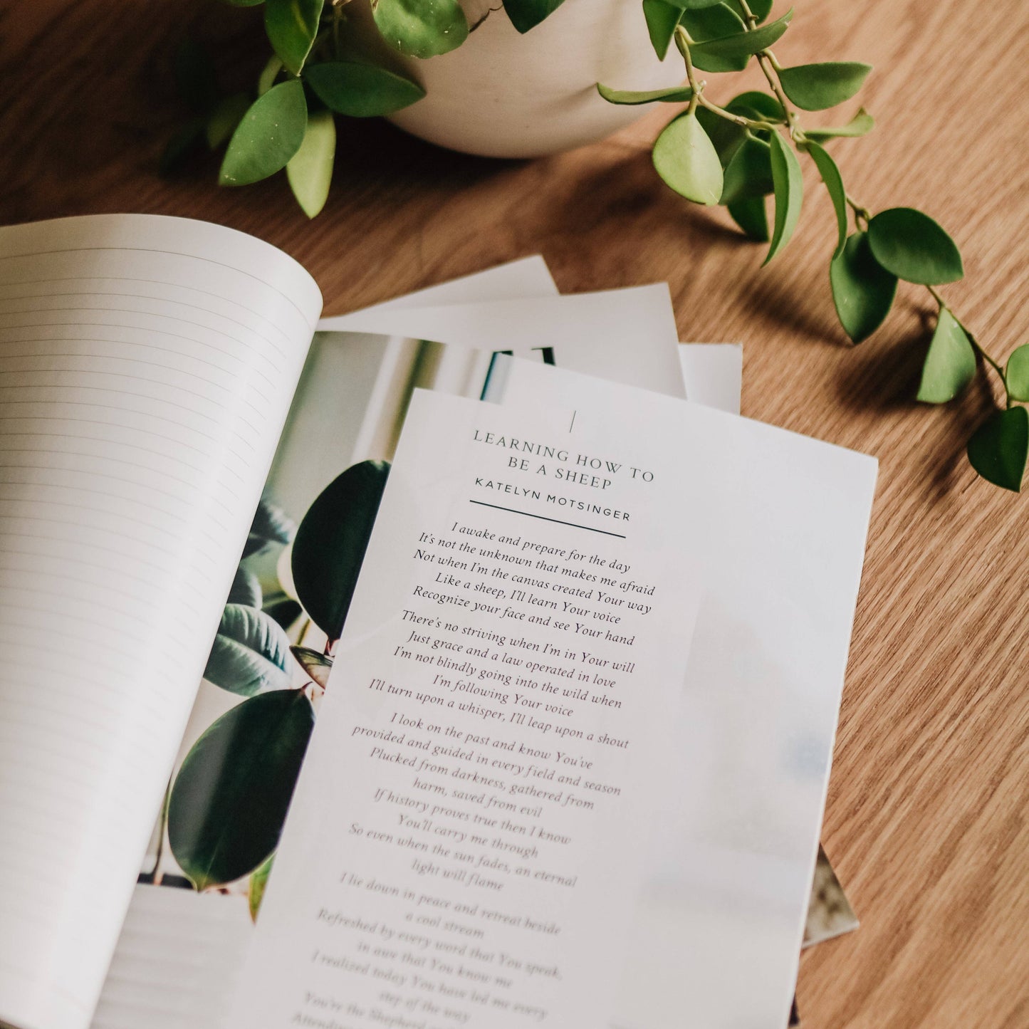 Be Still Magazine | Issue 26