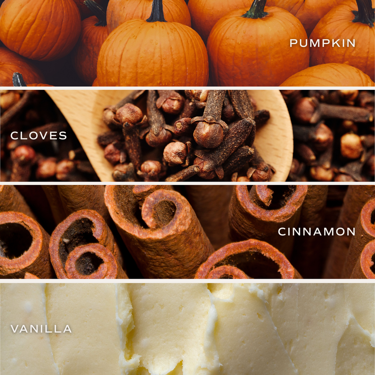 Pumpkin Spice 12 oz Soy Candle - Fall Decor & Gifts