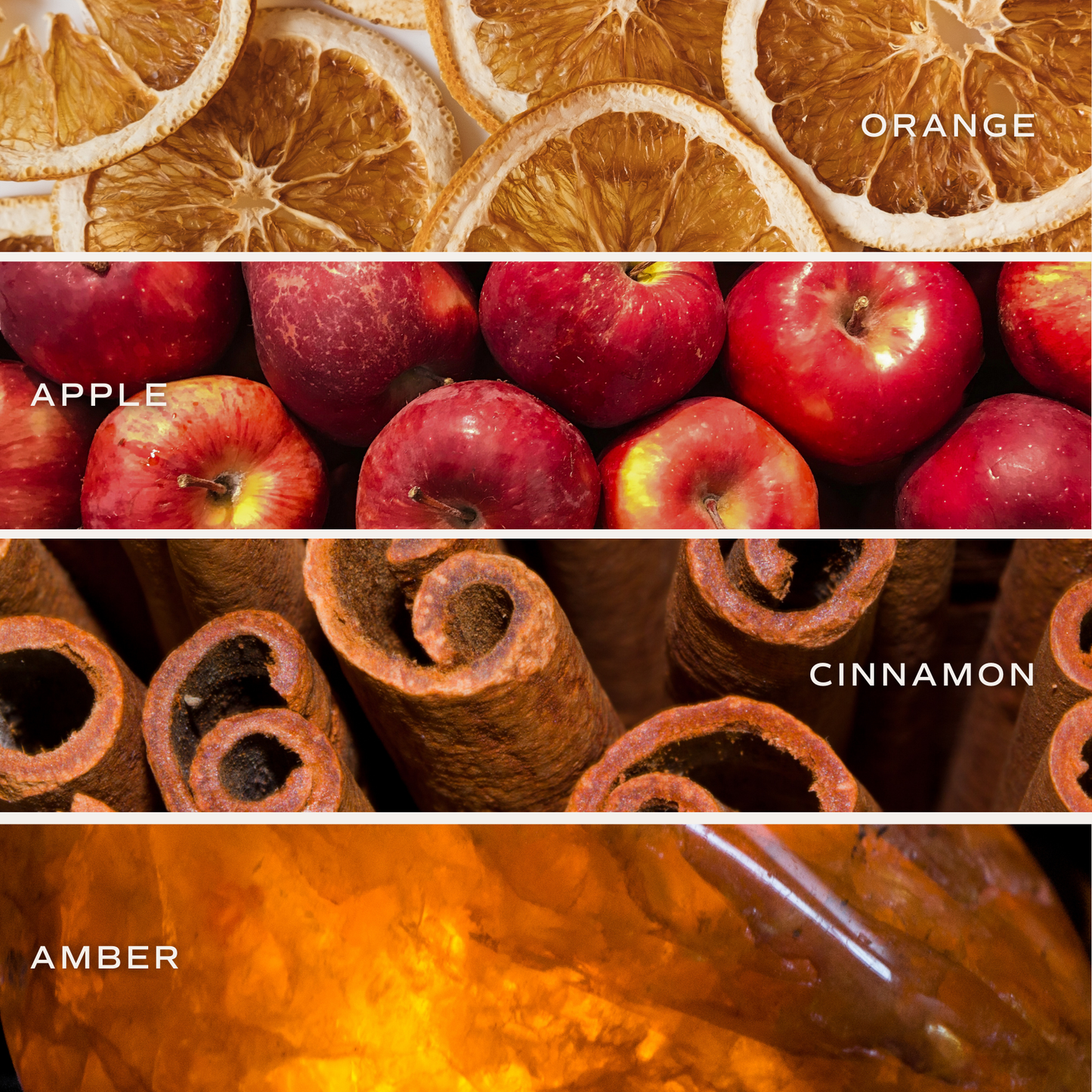 Mulled Cider 12 oz Soy Candle - Fall Decor and Gifts