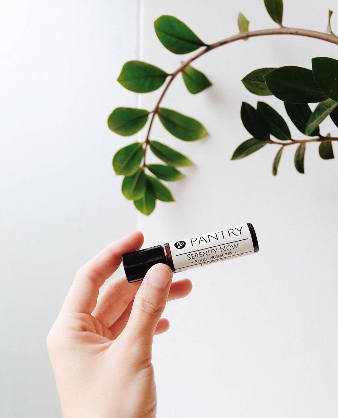 Bite Me! – Bug Bite Soother Roller Ball Remedies – Essential Oil Blends