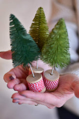 Creative Coop Christmas XMAS - Trio of Bottle Brush Trees (Set of 3)