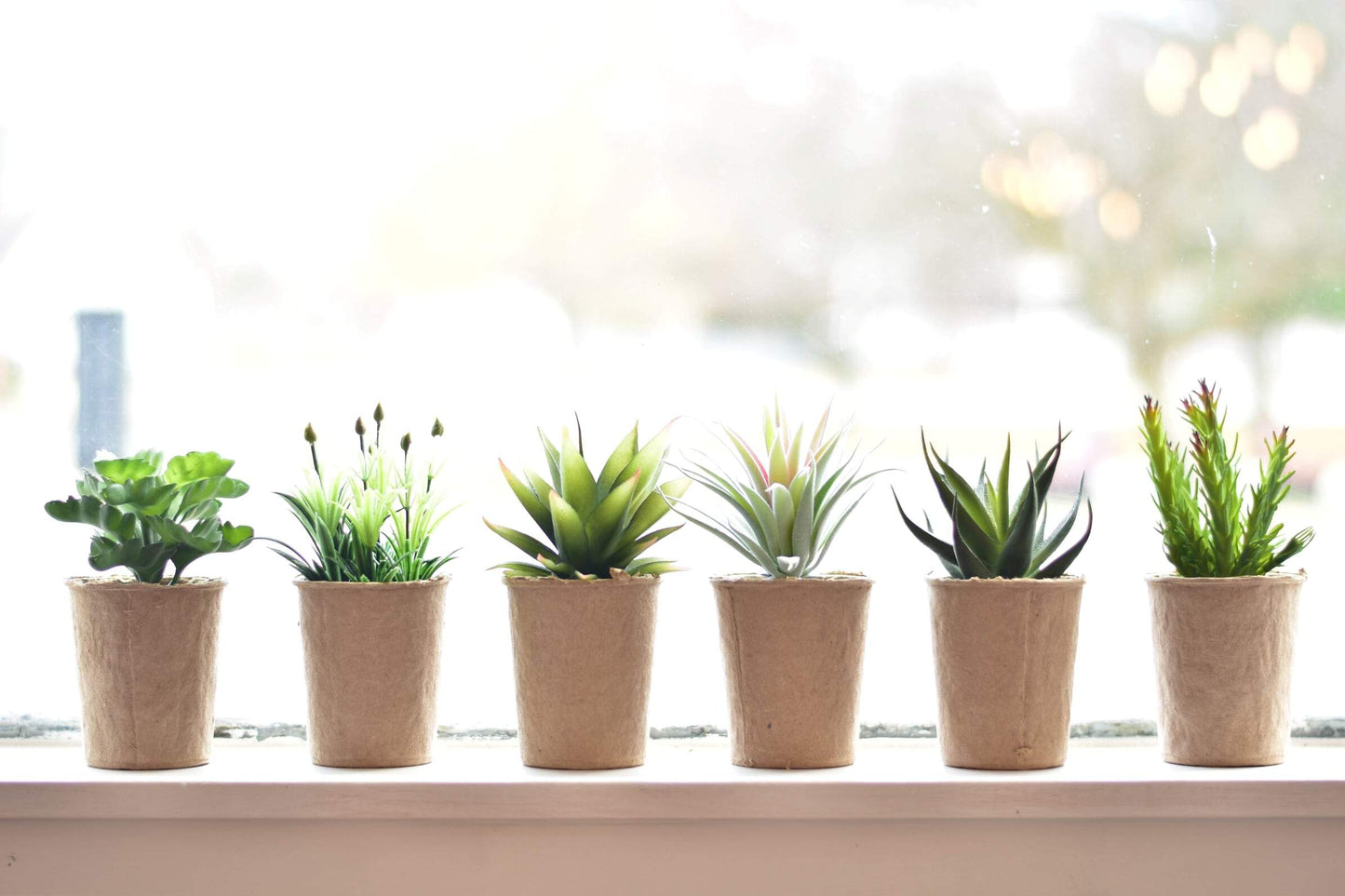 Creative Coop plant Faux Succulent in Paper Pot