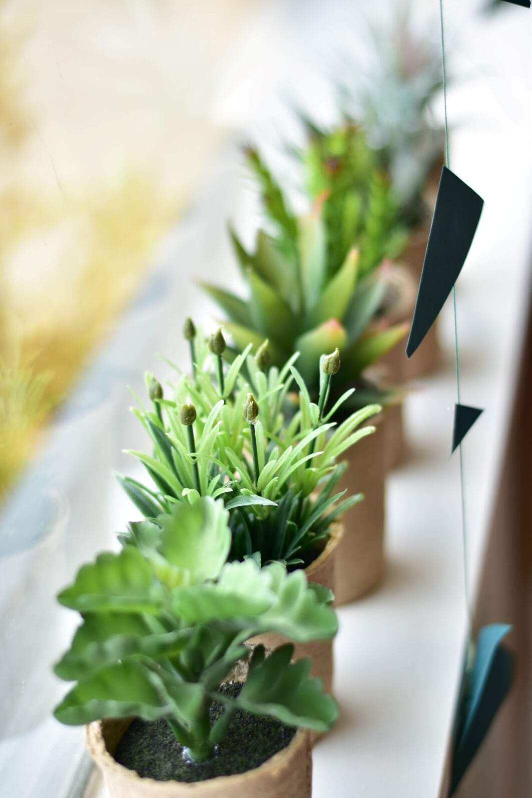 Creative Coop plant Faux Succulent in Paper Pot