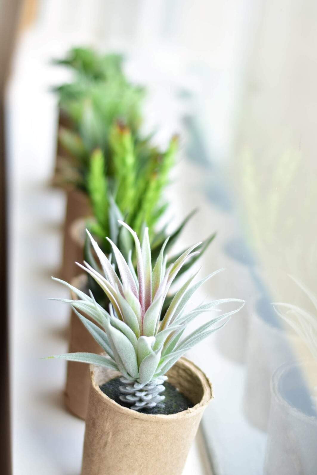 Creative Coop plant Faux Succulent in Paper Pot