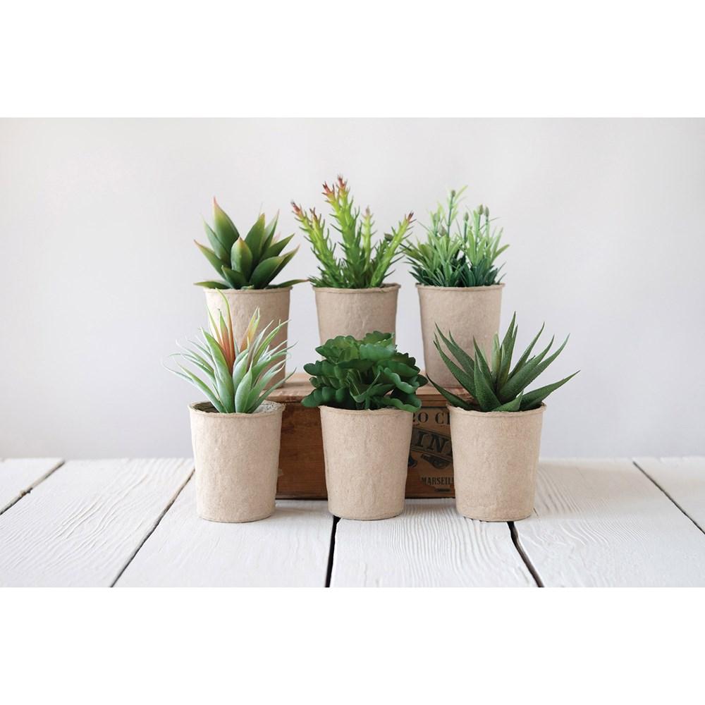 Creative Coop plant Faux Succulent in Paper Pot