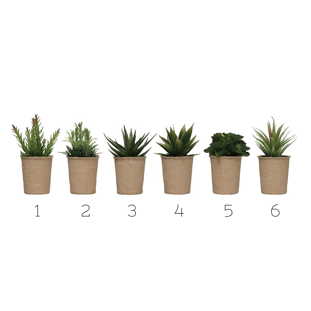 Creative Coop plant Faux Succulent in Paper Pot